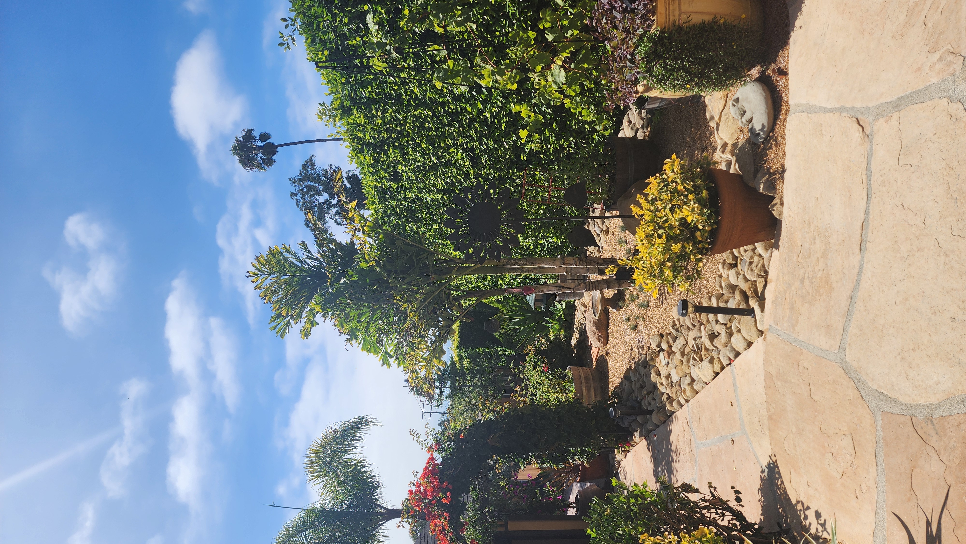 Tropical Santa Barbara garden featuring a natural flagstone path and decorative palm plantings.