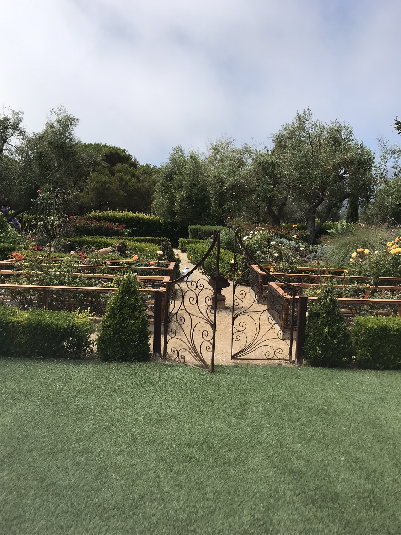 Formal rose garden entrance with wrought iron gates in a Santa Barbara garden.