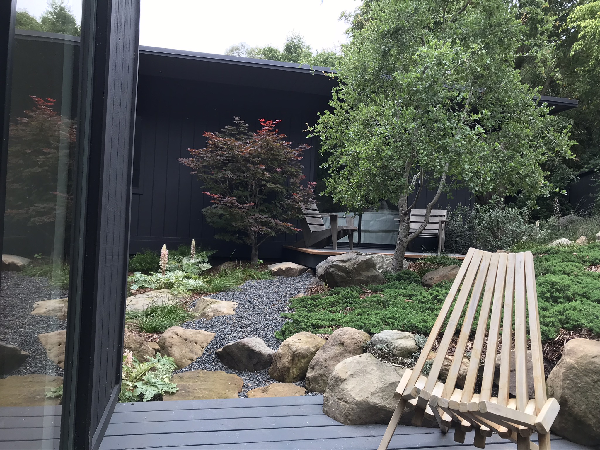 Serene Japanese-inspired garden with maple tree, boulders, and gravel in a Santa Barbara backyard.