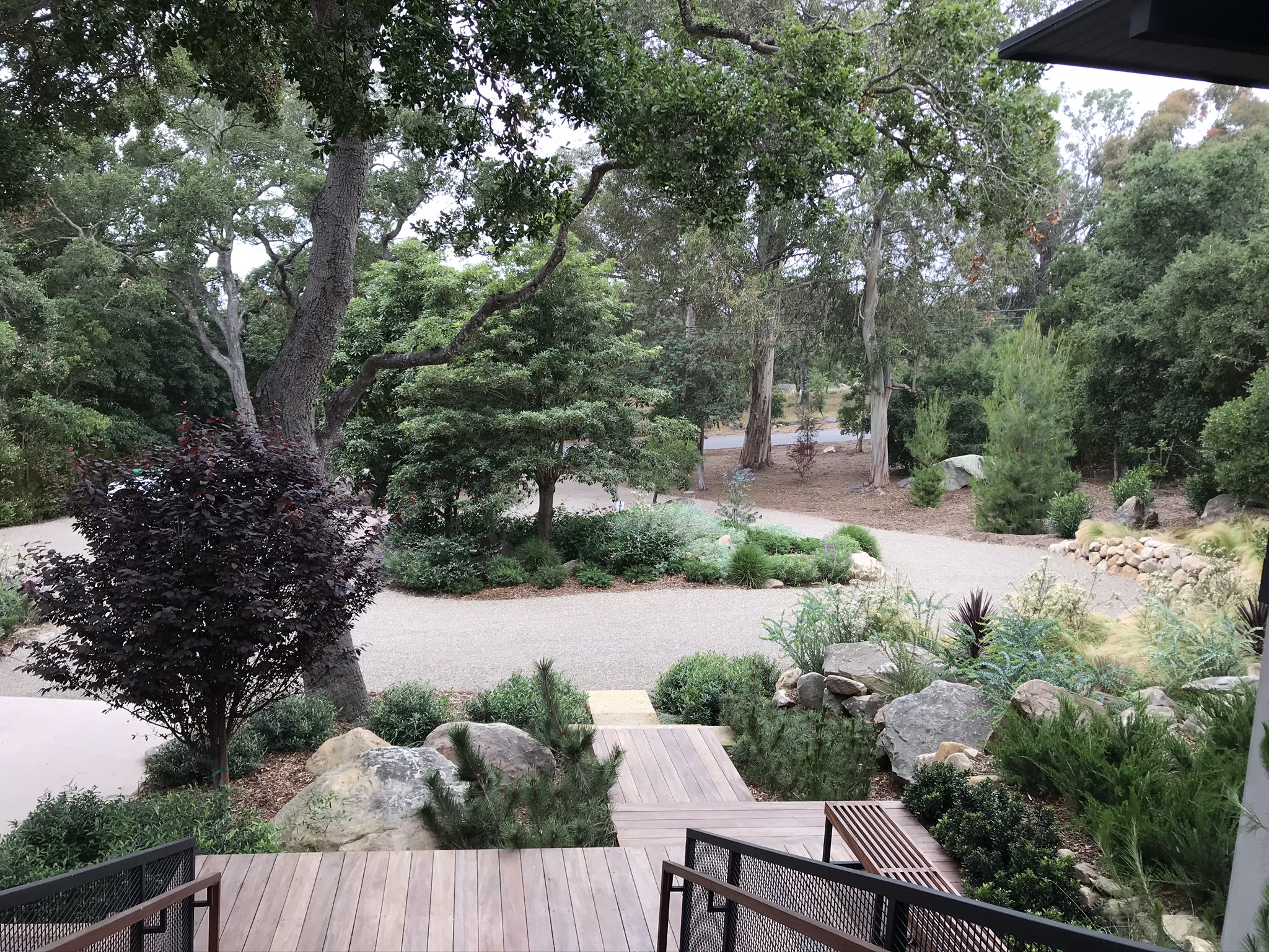 Woodland landscape with mature oaks, boulders, and gravel drive at a Santa Barbara property.