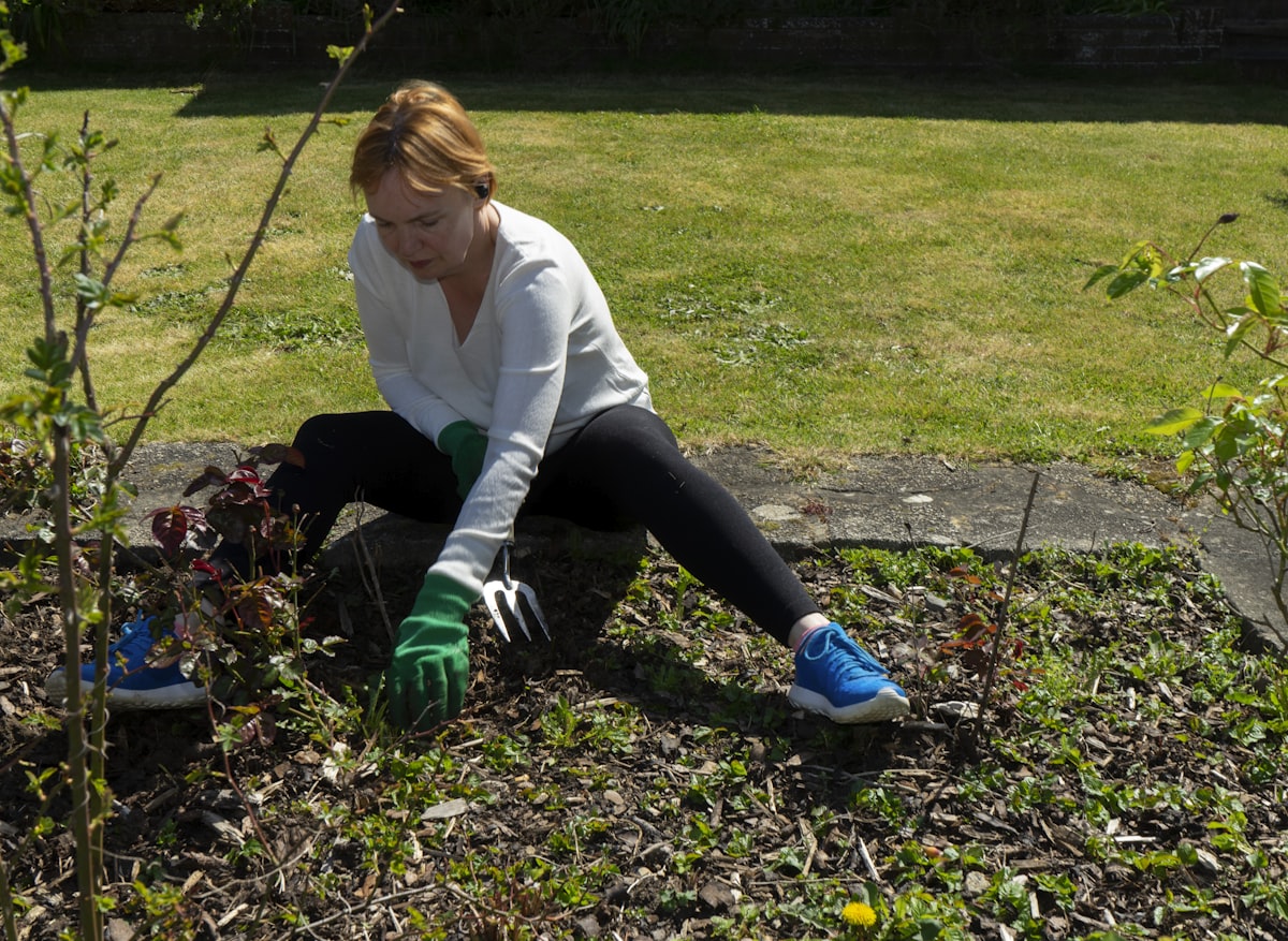 Person planting a young tree in a garden bed