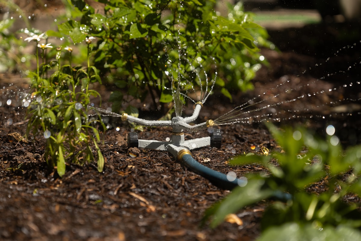 Sprinkler spraying water on garden plants and mulch