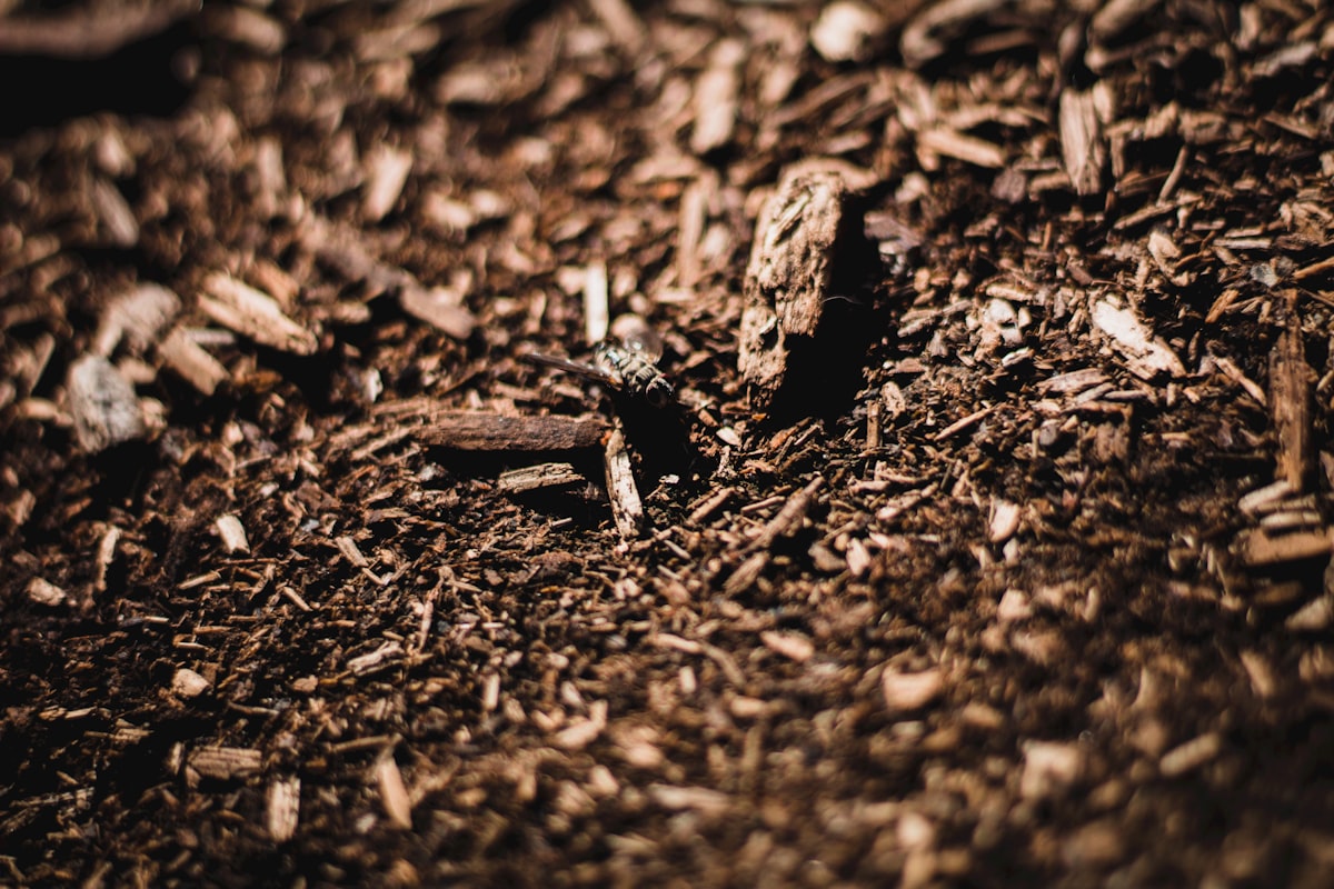 Pile of wood chip mulch ready for garden bed application