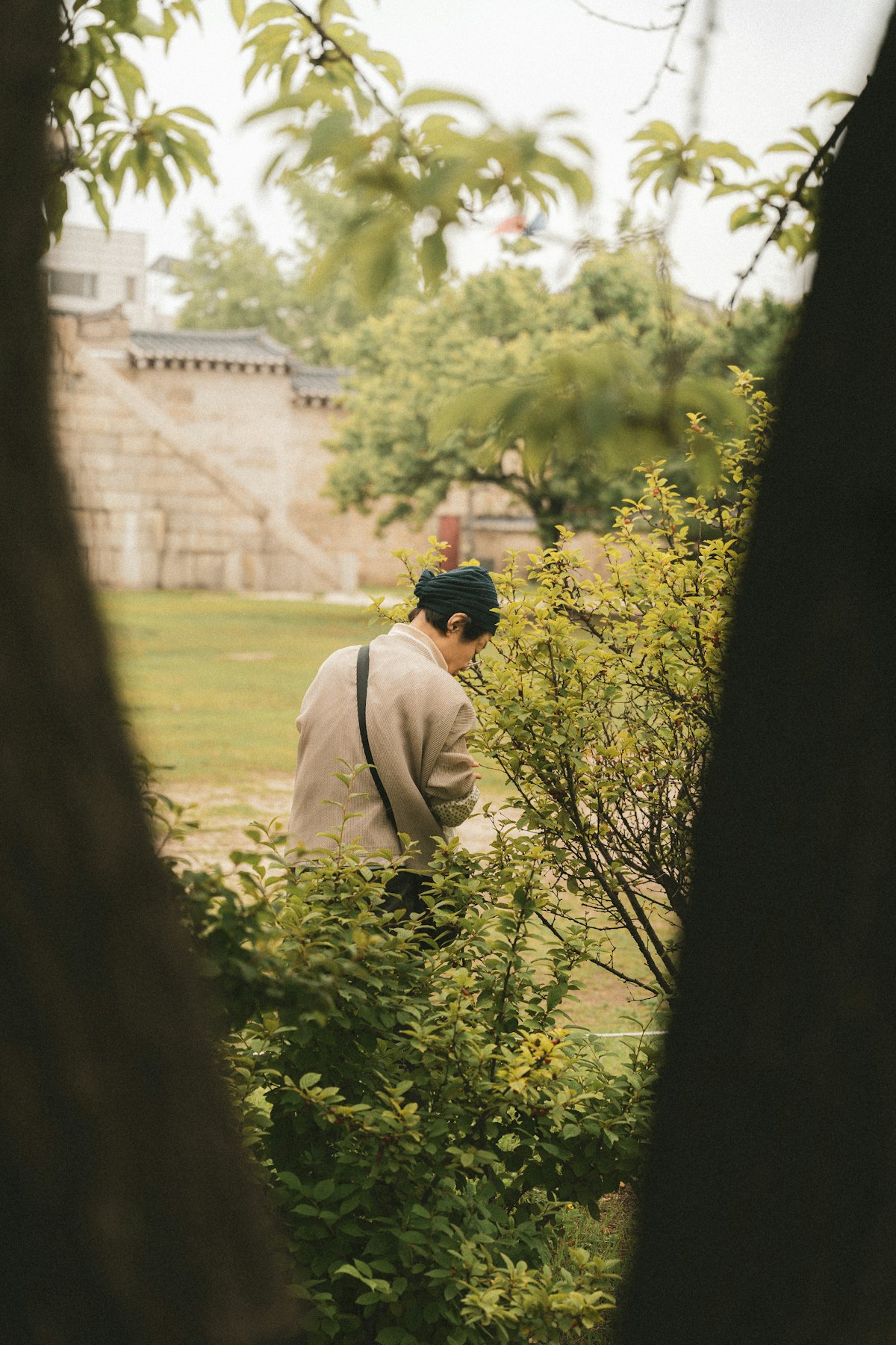Gardener tending plants in a lush garden bed