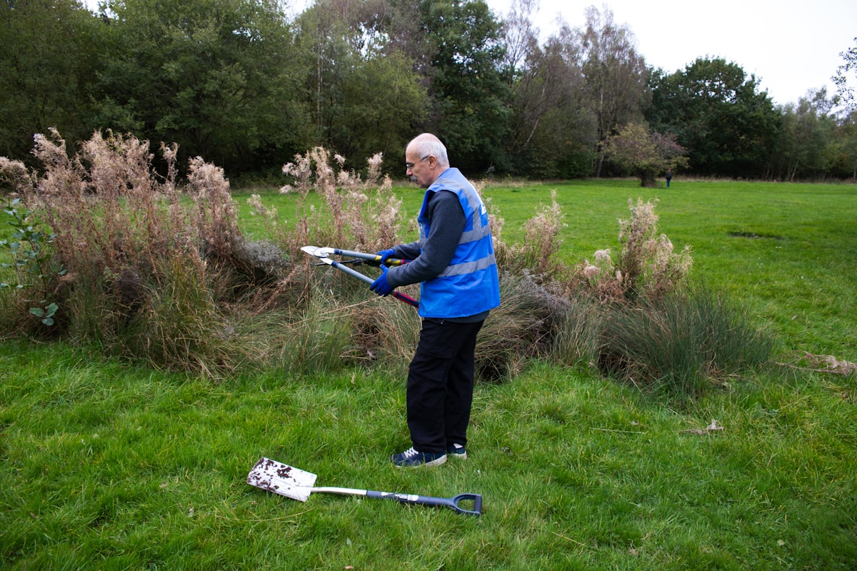 Gardener trimming bushes with hand shears in a grassy field
