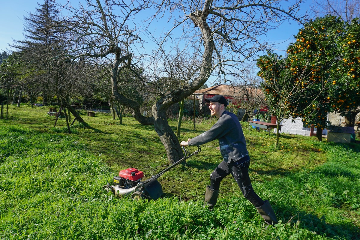 Landscaper mowing a green lawn with a push mower