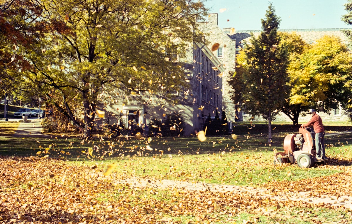 Leaf blower clearing fallen leaves from a yard