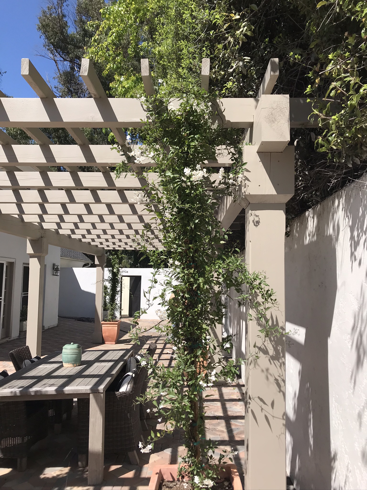 Wooden pergola shading an outdoor dining area in a sunny Santa Barbara backyard.