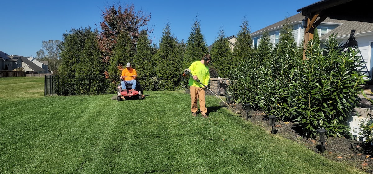 Professional gardener mowing a residential lawn